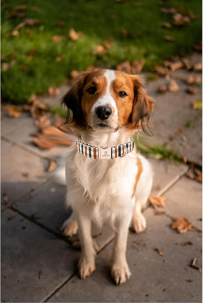 Lionheart glory Plaid Dog Collars Fall Dog Collar