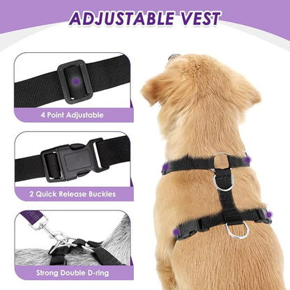 Lukovee Dog Seat Belt for Car, Adjustable Dog Car Harness for Large Medium Small Dogs, Soft Padded & Breathable Mesh Dog Seatbelt with Car Strap and Carabiner(Purple Double Clip,XXX-Small)