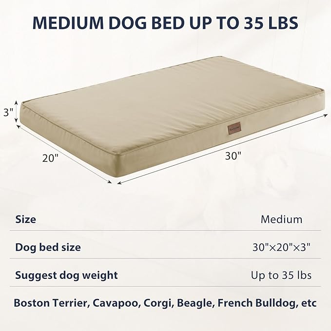 BFPETHOME Outdoor Dog Beds for Large Dogs (30 x 20in, Beige)