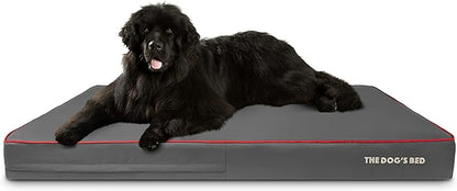 The Dog’s Bed Orthopedic Memory Foam Dog Bed 64x44, Pain