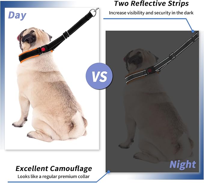 Martingale Collar for Dogs