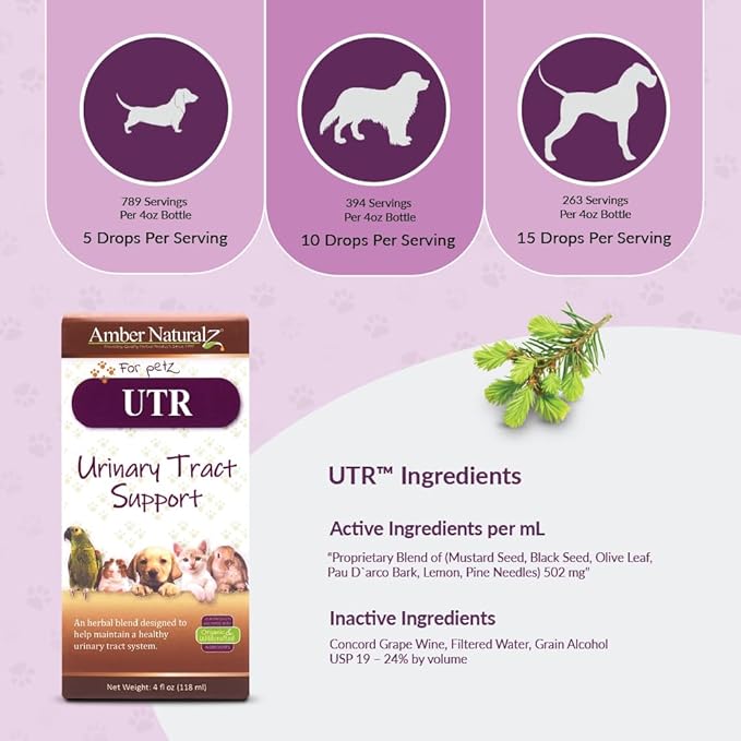 AMBER NATURALZ UTR Urinary Tract Herbal Supplement for Dogs, Cats, Birds, Guinea Pigs, and Rabbits | Pet Herbal Supplement for Bladder Support | 4 Fluid Ounce Glass Bottle | Manufactured in The USA