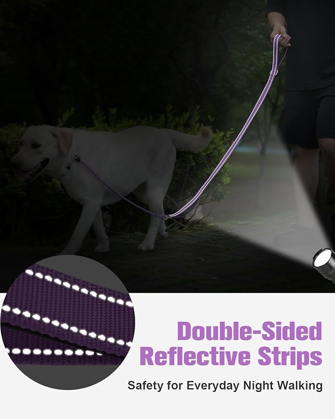 Aiyuda Tangle-Free Slip Lead for Dogs with Padded Traffic Handle 6ft Dog 40 LBS,Purple/Black