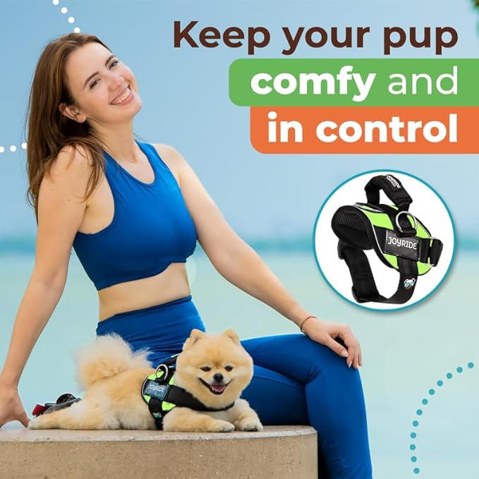 Joyride Harness 2.0 3 Leash