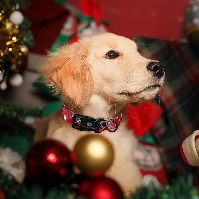 Lionet Paws Chirstmas Grid Dog Collar 10-16 inches