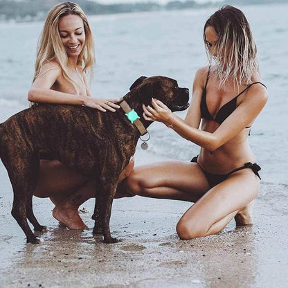 Air Tags-2 Pack Airtag Dog Collar Holder SWINCHO 1-3cm Width