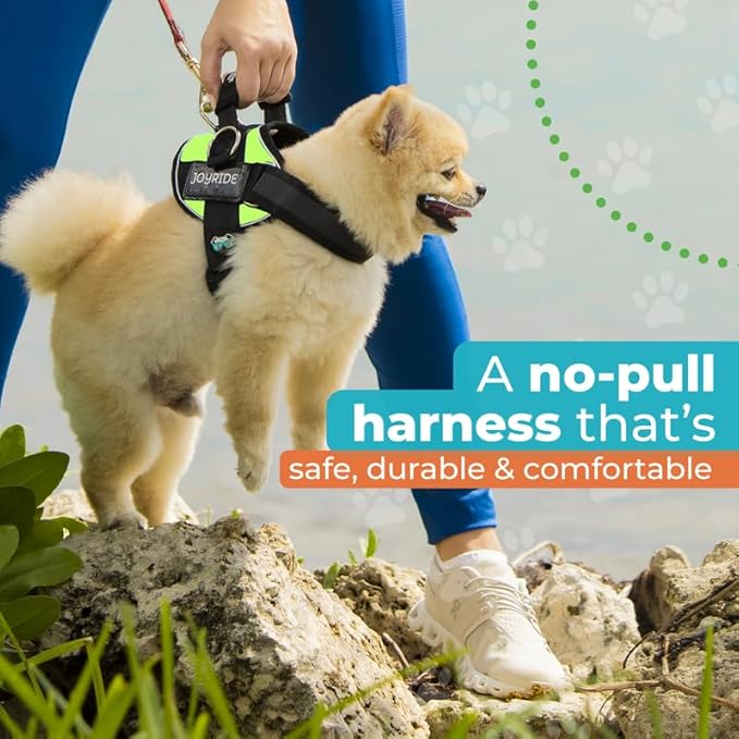 Joyride Harness 2.0 3 Leash