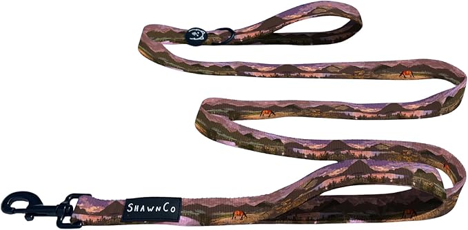 ShawnCo Dream Walk Dog Leash- Premium, Nylon Pet Leash with Soft Neoprene Handle for Small, Medium and Large Dogs (Montana Daydream, M/L 6FT w/ 2 Handles)