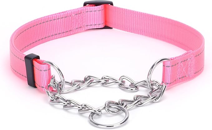 Martingale Dog Collar with Stainless Steel Chain and Leash Set 5FT Double