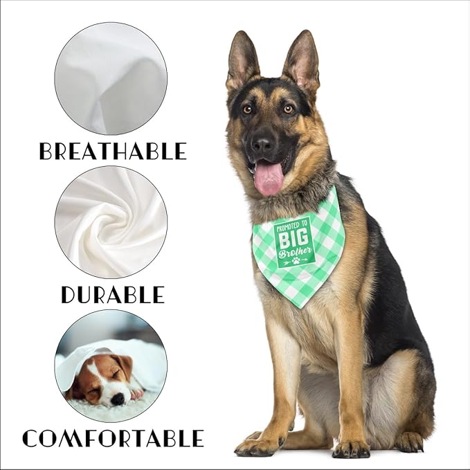 Dog Bandana (B58)