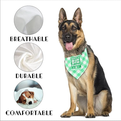 Dog Bandana (B58)