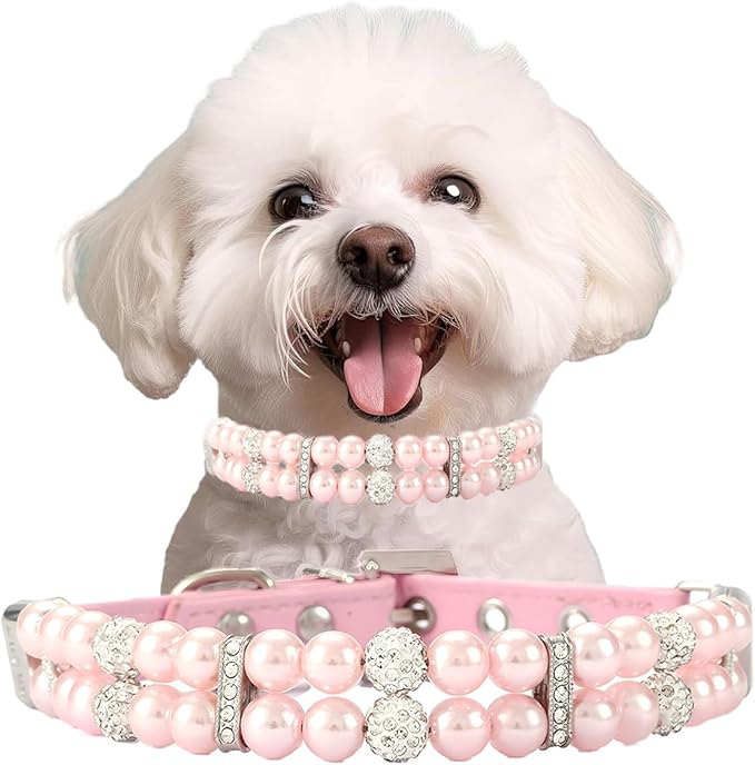 Beaded Dog Collar