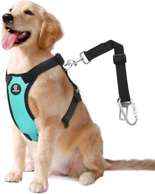 Dog Vehicle Safety Vest Harness, Adjustable Soft Padded Mesh Car Seat Belt Leash Harness with Travel Strap and Carabiner for Most Cars, Extra Large Size, Blue