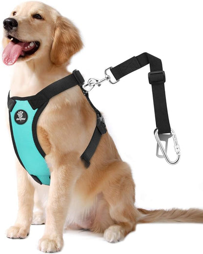 Dog Vehicle Safety Vest Harness, Adjustable Soft Padded Mesh Car Seat Belt Leash Harness with Travel Strap and Carabiner for Most Cars, Large Size, Blue