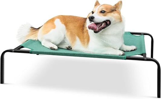 Elevated Dog Beds for Medium Dogs Indoor Outdoor