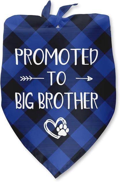 Promoted to Big Brother Dog Bandana Gender Reveal