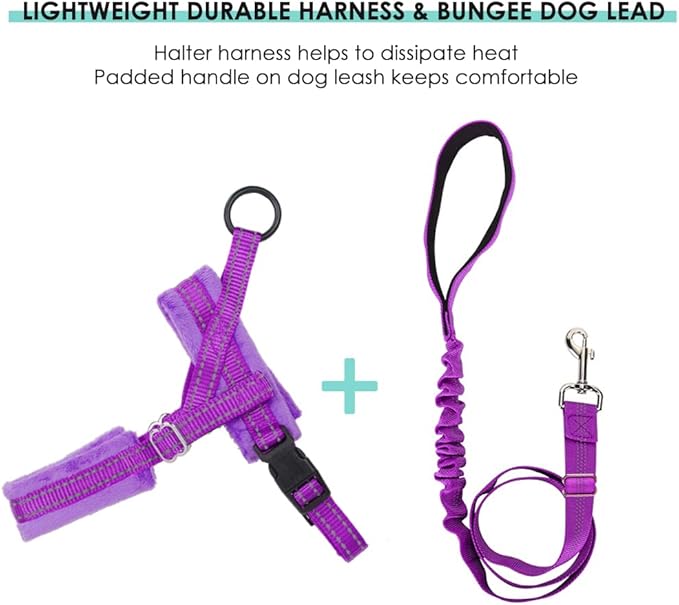 Lukovee Dog Harness and Leash Set, Soft Padded Small Dog Harness, Neck & Chest Adjustable Reflective Vest Puppy Harness with 4ft Lightweight Anti-Twist Dog Leash for Small Dogs (Purple, Large)