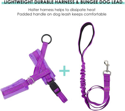 Lukovee Dog Harness and Leash Set, Soft Padded Small Dog Harness, Neck & Chest Adjustable Reflective Vest Puppy Harness with 4ft Lightweight Anti-Twist Dog Leash for Small Dogs (Purple, Medium)