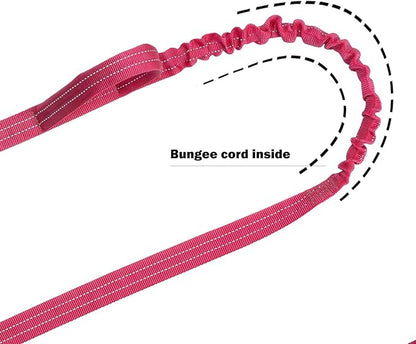 ICEFANG Tactical Dog Leash K9 Training 2 Control 6 FT)