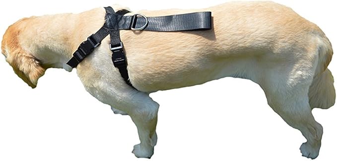 Downtown Pet Supply 10 to 25 lbs