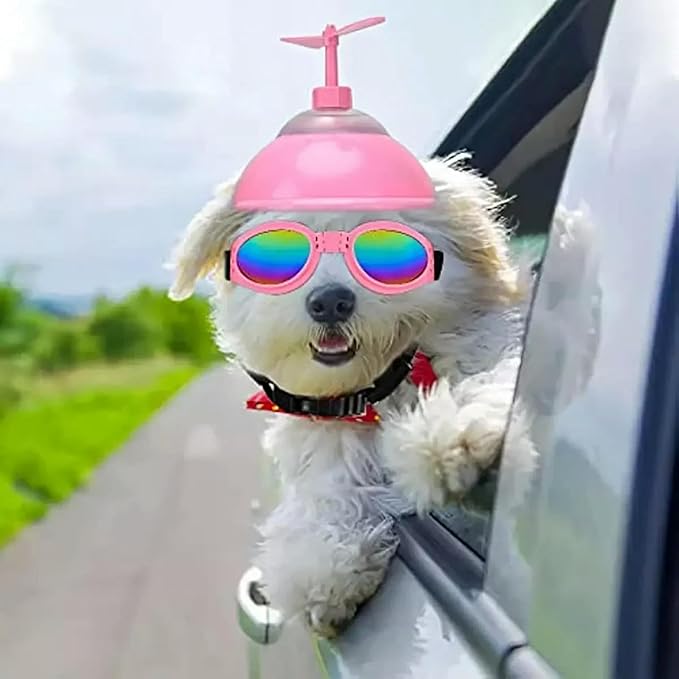 Dog Helmet and Goggles with Cute Propeller Adjustable