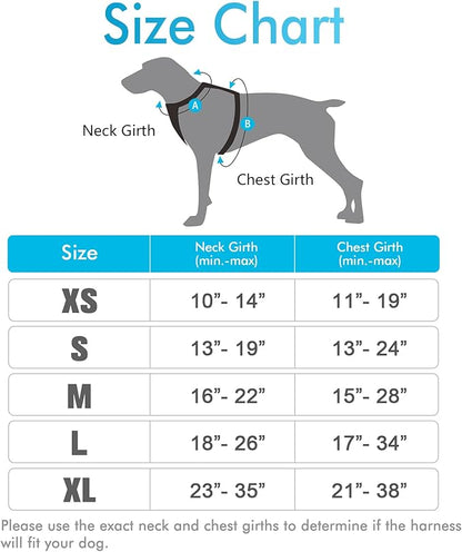 rabbitgoo Dog Harness 2 Leash