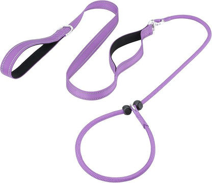 Aiyuda Tangle-Free Slip Lead for Dogs with Padded Traffic Handle 6ft Dog 40 LBS,Purple/Black