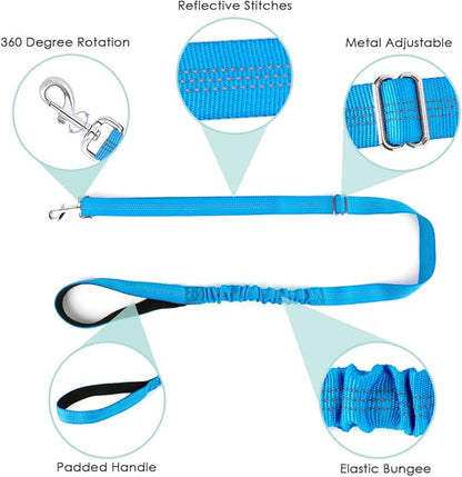 Lukovee Dog Harness and Leash Set, Soft Padded Small Dog Harness, Neck & Chest Adjustable Reflective Vest Puppy Harness with 4ft Lightweight Anti-Twist Dog Leash for Small Dogs (Light Blue, XX-Small)