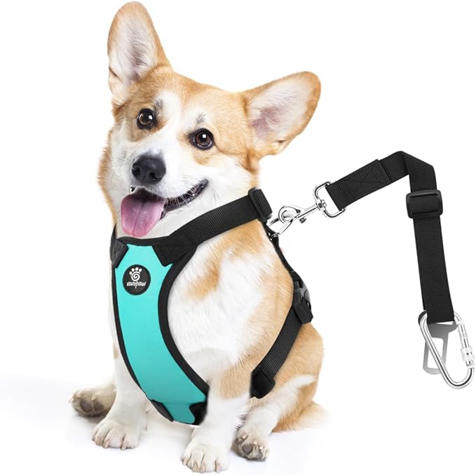 Dog Vehicle Safety Vest Harness
