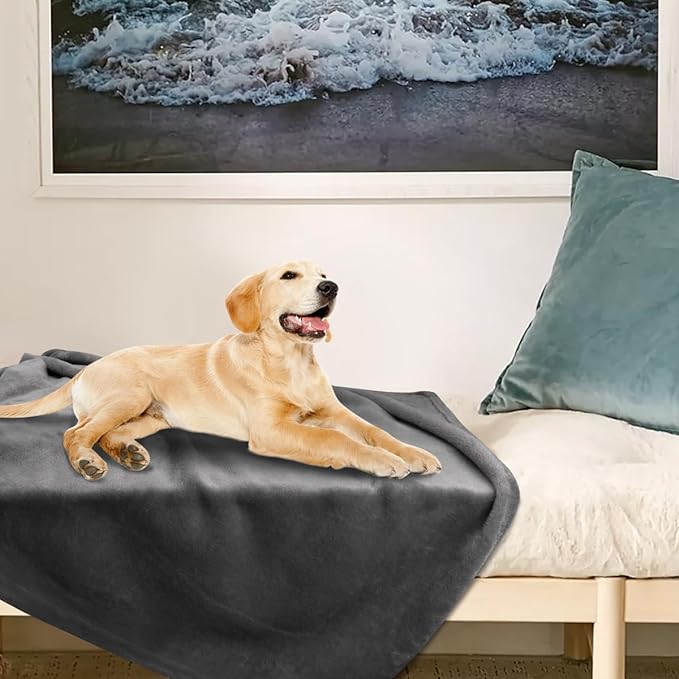 Onarway Dog Blanket Washable for Puppy: 4 Packs Dog Blankets 40”x28”