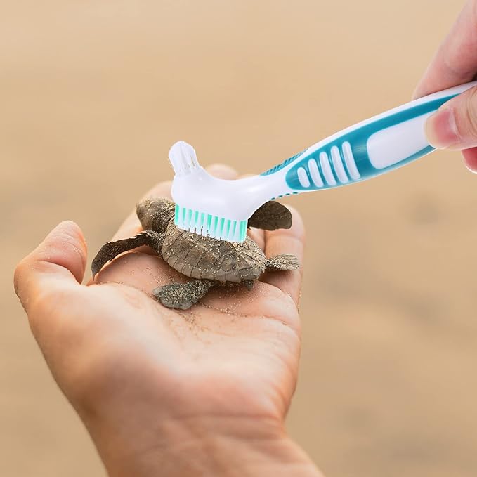 Hamster Mini Brush Brace Braces False Toothbrush Clean Cleaner Rubber Handle Double-Sided Turtle Shell Cleaning Brush Turtle Tortoise Shell Mud Clean Brush Water Turtle