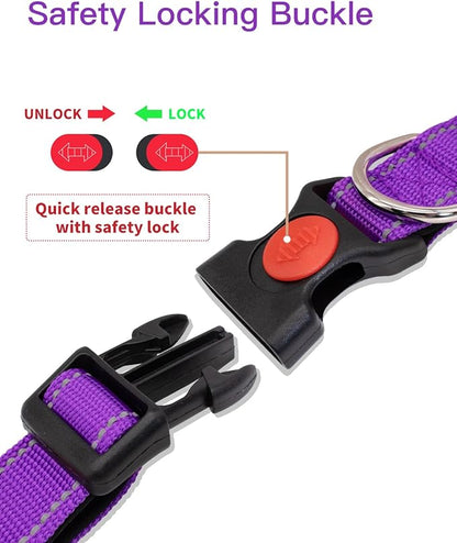 Reflective Dog Collar