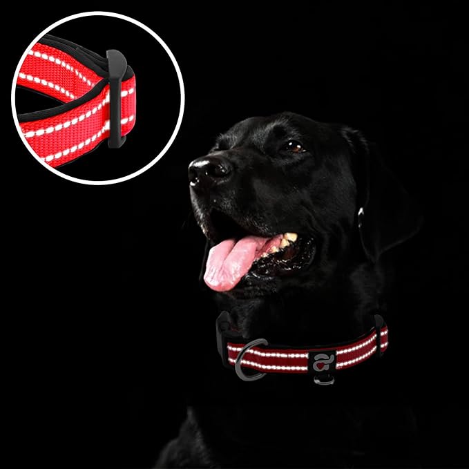 azuza Reflective Dog Collar