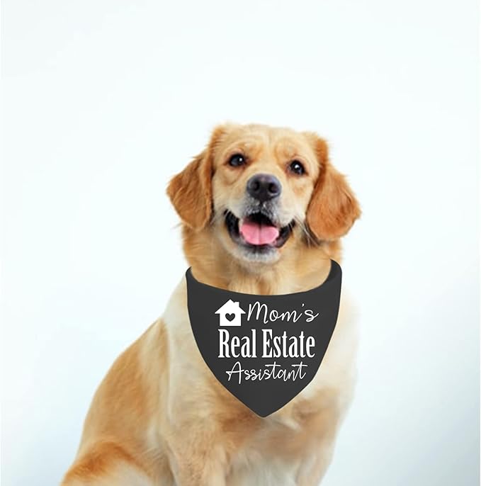 JXGZSO 1 Piece Real Estate Dog Bandana Mom's/Dad’s