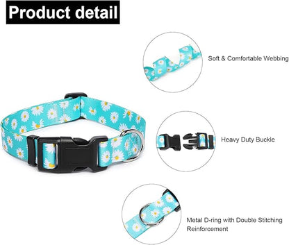 Adjustable Dog Collar with Patterns