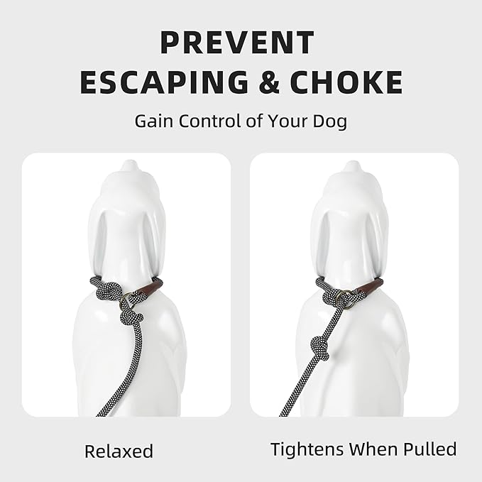 Mile High Life Slip Leads for Dogs 4 Feet