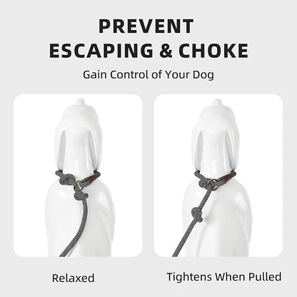 Mile High Life Slip Leads for Dogs 4 Feet