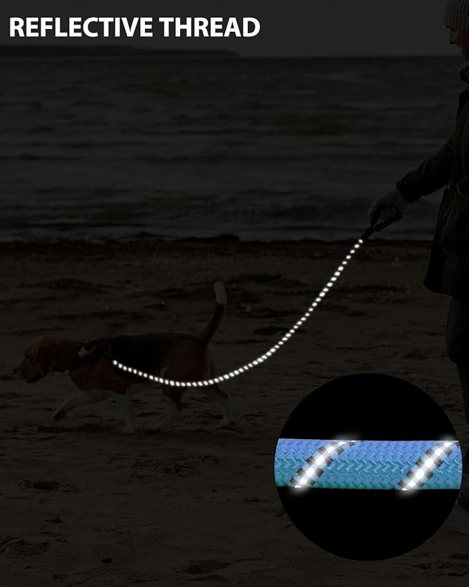 Dog Leash Heavy Duty 4/5/6FT Reflective 6'*1/2'', Light