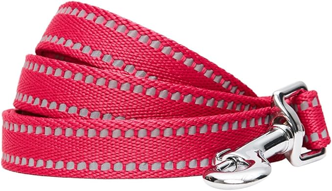 Blueberry Pet Essentials Pastel Color Reflective Matching Dog Harness Vest and Leash Set in Very Berry, Adjustable Harness with 4 ft Leash for Large Dogs