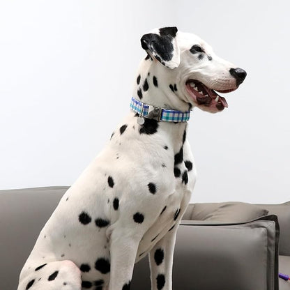 Blue Plaid Summer Cotton Dog Collar with Metal