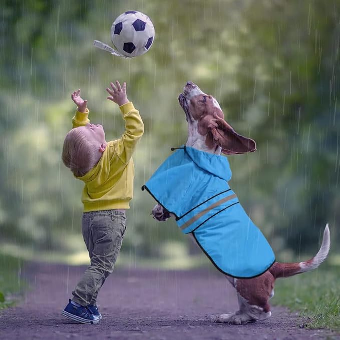Reflective Dog Rain Coat