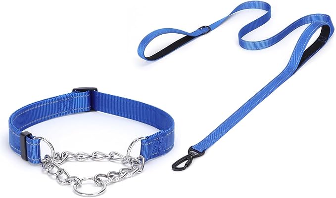 Martingale Dog Collar with Stainless Steel Chain and Leash Set 5FT Double