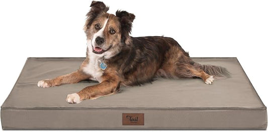 Orthopedic Dog Bed for Large Dogs