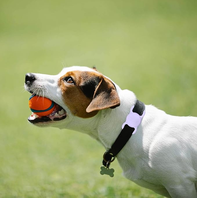 Air Tags-2 Pack Airtag Dog Collar Holder SWINCHO 1-3cm Width