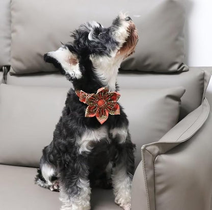 Unique Style Paws Cotton Dog Collar with Bow