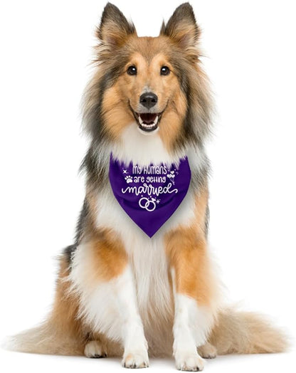 My Humans are Getting Married Dog Bandana (E45)