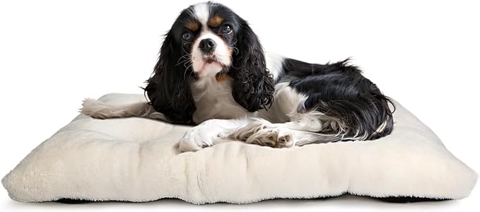 Dog Beds for Crates 30x19 Washable for Medium Size Dogs Soft 30 inch Crate Pad for Kennel or Cage with Anti-Slip Bottom Sleeping Mat Ideal for Dog Crates