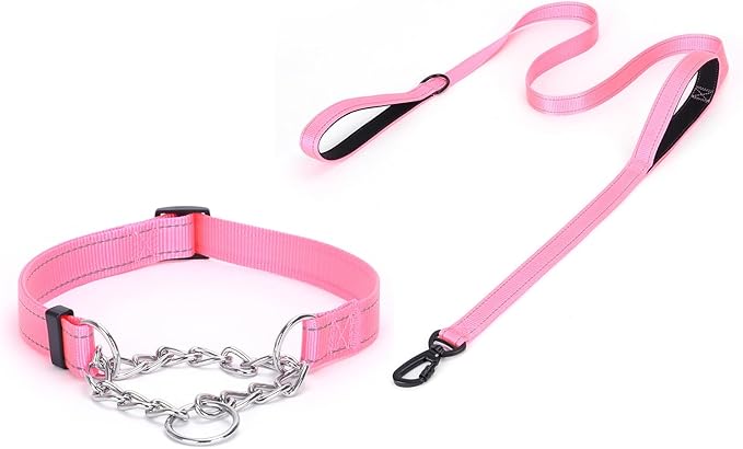 Martingale Dog Collar with Stainless Steel Chain and Leash Set 5FT Double