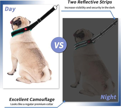 Martingale Collar for Dogs