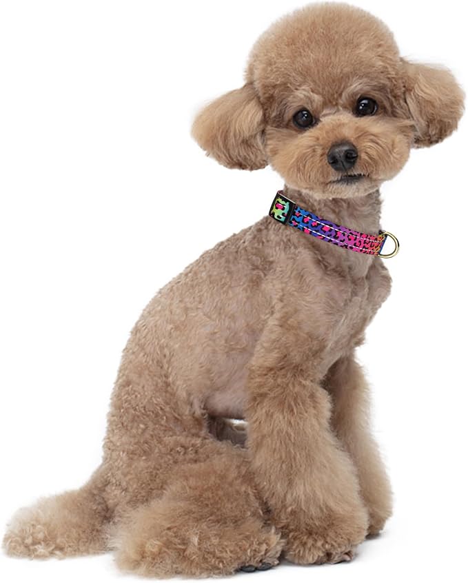 Reflective Dog Collar